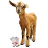 Goat_Plush_D4041423